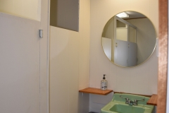 Mid Century Ladies Bathroom Details